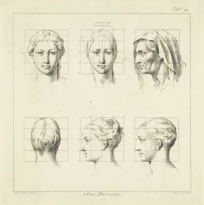 Proportiestudies van vrouwenhoofden