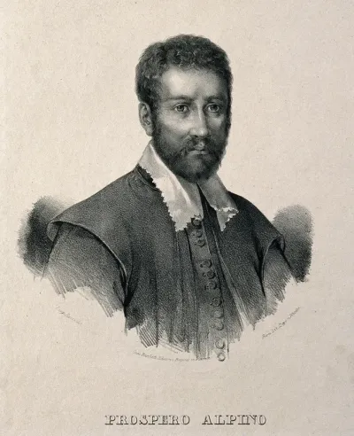 Prospero Alpino