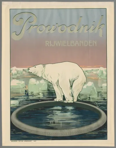 Prowodnik rijwielbanden