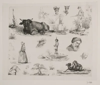 Prøveblad