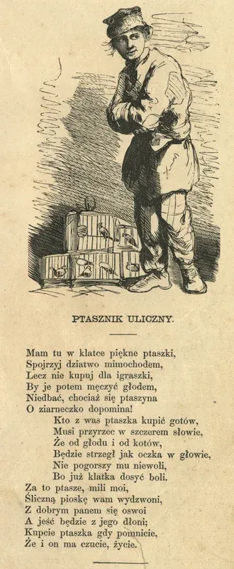 Ptasznik uliczny
