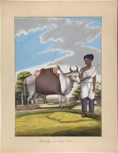 Puckaly in Moor Cast, from Indian Trades and Castes