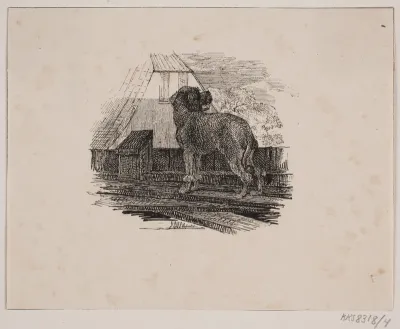Pudelhunden