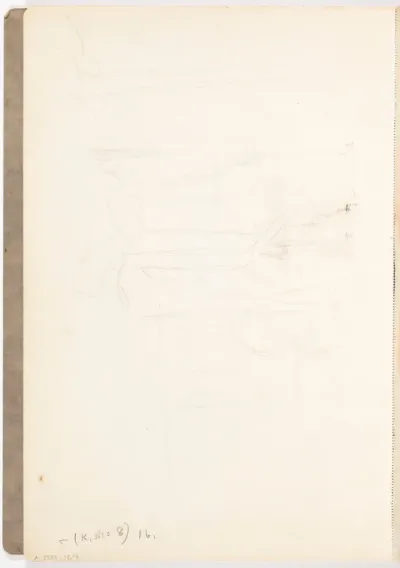 Puita rannalla. 1920- tai 1930-luvulta.