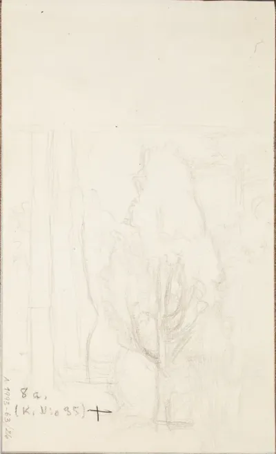 Puita. Todenmäköisesti n. 1910.