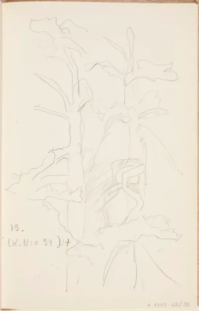 Puita. Todennäköisesti n. 1925-28.