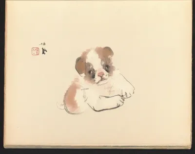 Puppy