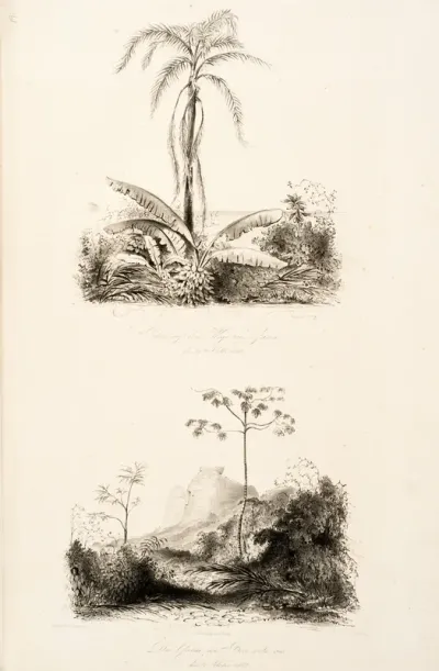 Puris in Urnalde bey Freixeiras den 8' Octb. 1842 - Aldea da Pedra na der Parahyba do Sul den 8' Octb. 1842