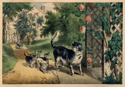 Pussy's Return
