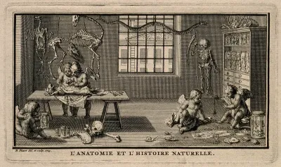 Putti perform an anatomical dissection on a dog; others hold a jar containing a human foetus; two more play with a spider; representing anatomy and natural history