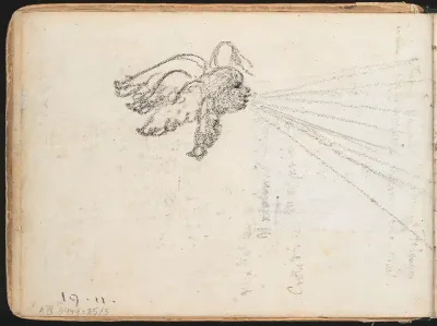 Putto