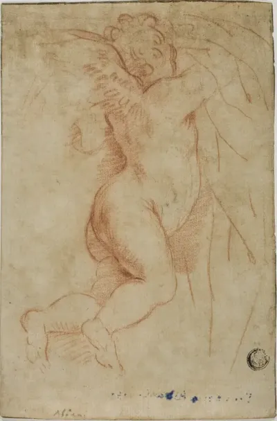 Putto Lifting Curtain (recto); Infant St. John (verso)