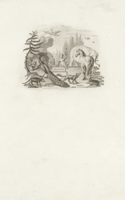 Putto met een microscoop