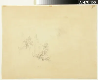 Puu- ja maisemaharjoitelmia paperin molemmin puolin