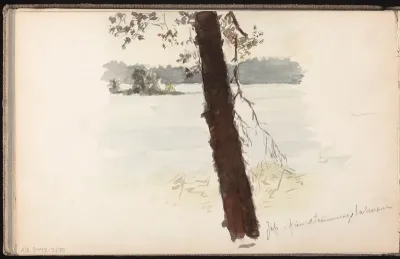 Puu rannalla