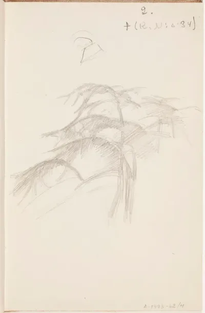 Puu. Todennäköisesti n. 1925.