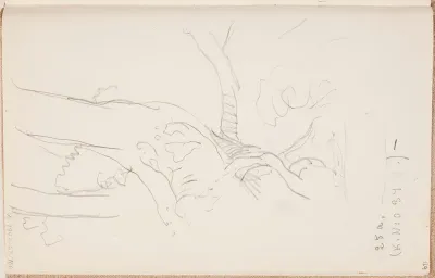 Puun runko. Todennäköisesti n. 1925.