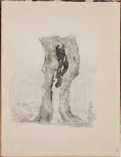 Puunrunko