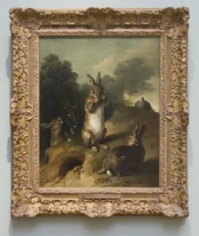 Rabbits