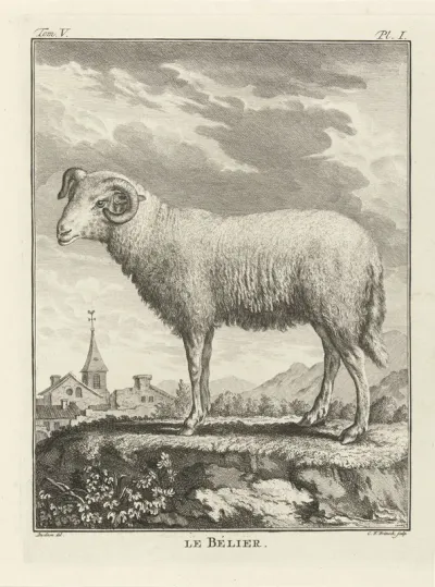 Ram