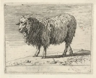 Ram