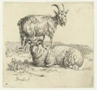 Ram en geit