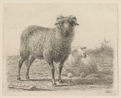 Ram en schaap