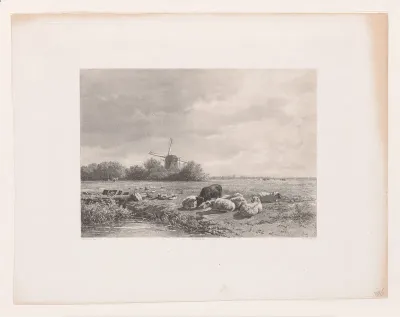Ram en schapen in een wei