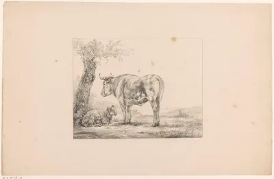 Ram en stier in een landschap