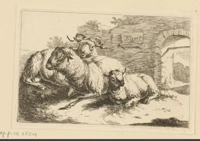 Ram en twee schapen