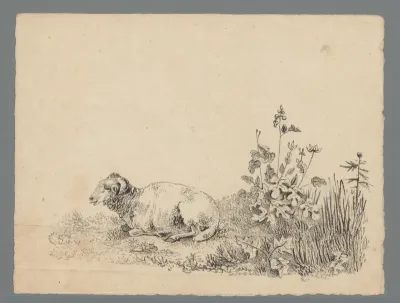 Ram liggend in het gras