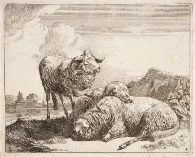 Ram with Two Sheep