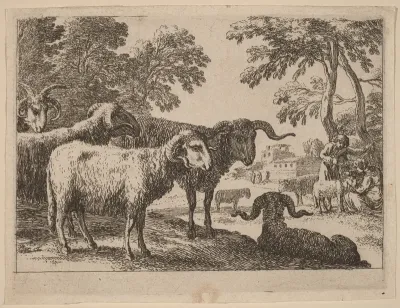 Rams