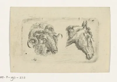 Ramskop en paardenhoofd