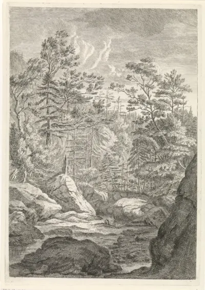 Ravijn met bomen en een beekje