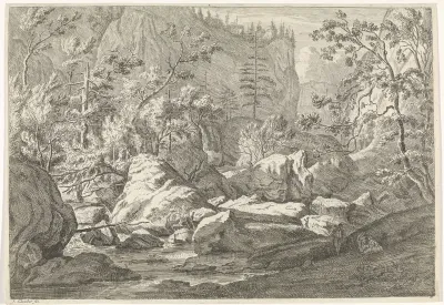 Ravijn met rotsblokken en bomen
