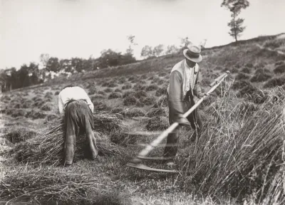 Reapers, Somme