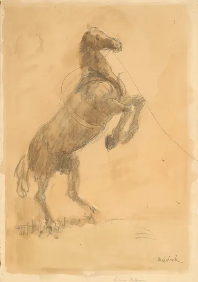 Rearing Horse