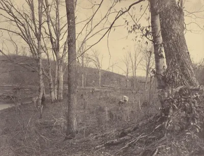 Rebel Rifle Pits, Bull Run