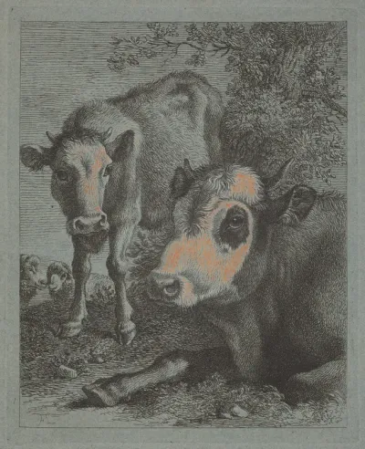 Reclining Cow and Calf in the Open