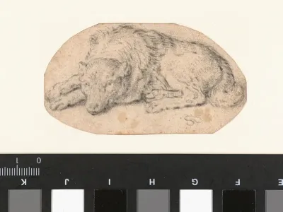 Reclining Dog, Turned to the Left