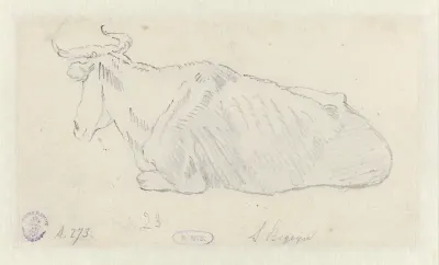 Recumbent Cow Facing Left