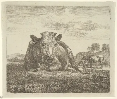 Recumbent Cow, plate 2 from "Different Animals"