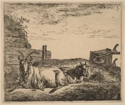 Recumbent Goats
