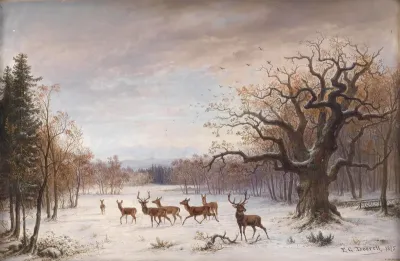 Red Deer in Winter