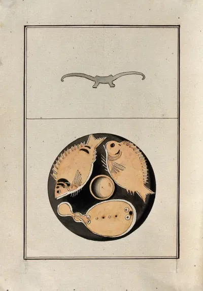 Red-figured Greek plate decorated with three fish