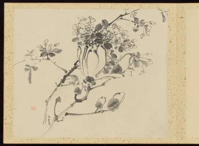 "Refined Elegance in the Four Seasons" (Shiji seiga), Album of Flower Paintings