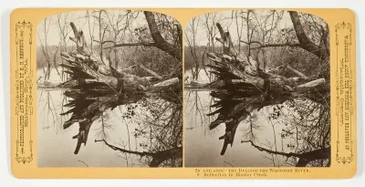 Reflection in Blazier Creek, No. 9 from the series "In and About the Dells of the Wisconsin River"