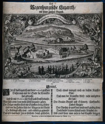 Regensburg (Ratisbon), Bavaria, Germany: bird's eye view of the town with an ornamental frame showing scenes from the plague