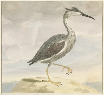 Reiger